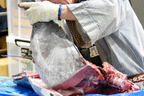 【ホール】懇親会+マグロ解体ショー